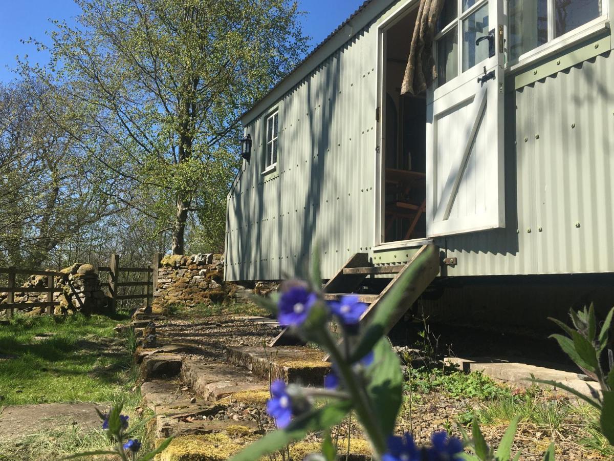 Posh Huts Farmstay Falstone エクステリア 写真