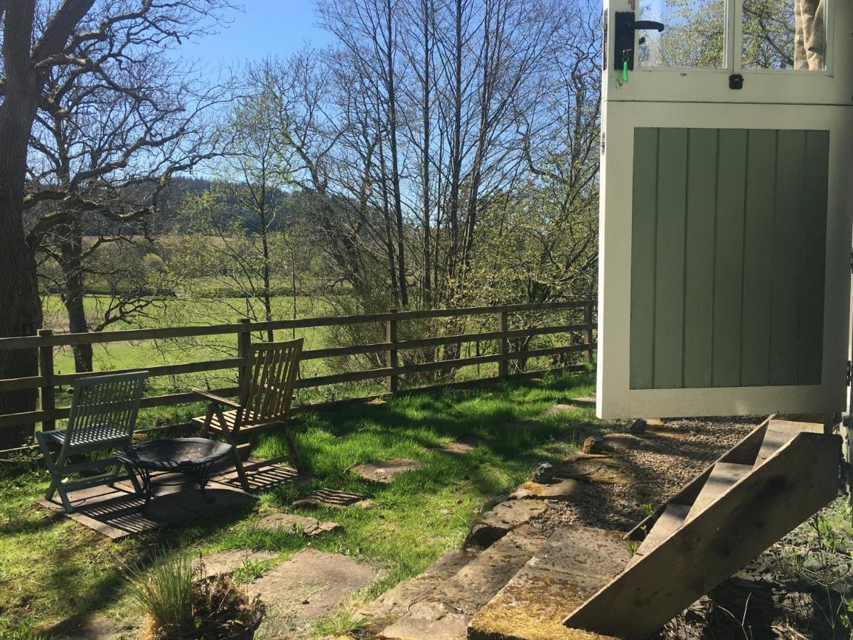 Posh Huts Farmstay Falstone エクステリア 写真