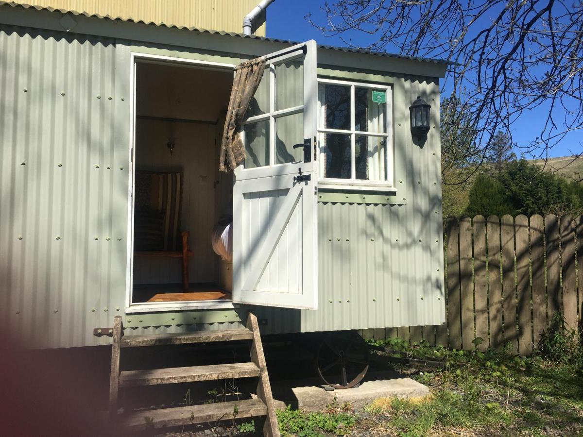 Posh Huts Farmstay Falstone エクステリア 写真