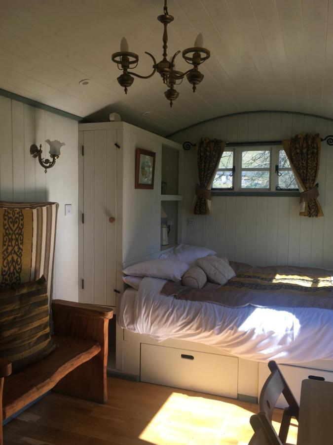 Posh Huts Farmstay Falstone エクステリア 写真