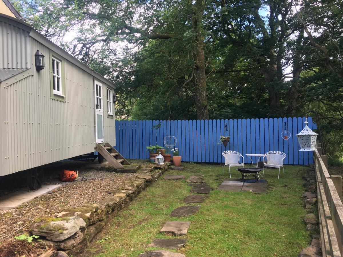 Posh Huts Farmstay Falstone エクステリア 写真